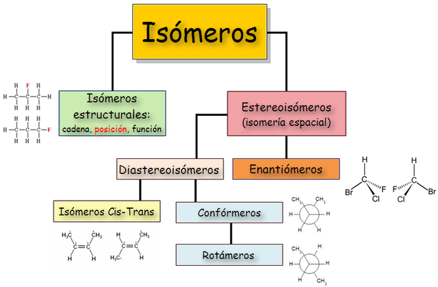 Orden soma genérico