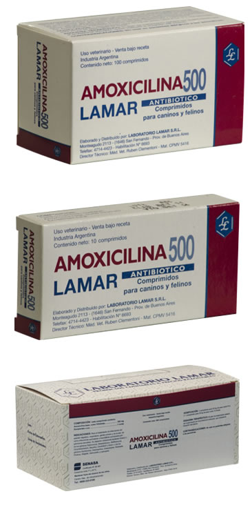 Precio amoxil 500 mg