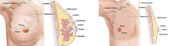 Tamoxifeno españa